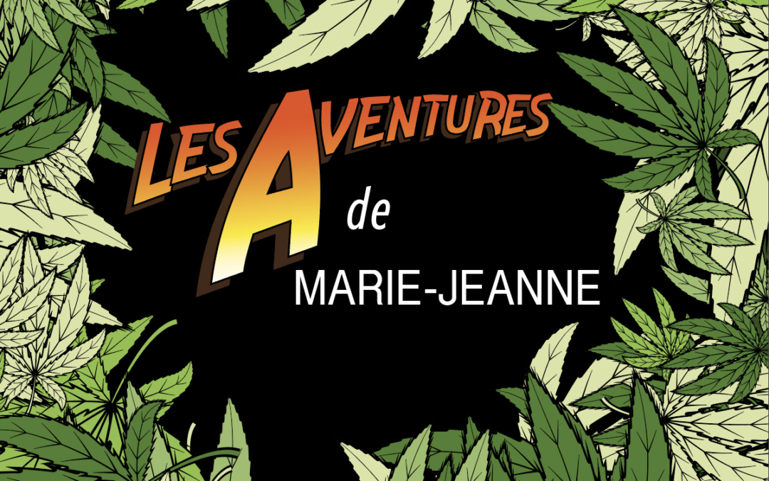 Dépliant de réduction des risque